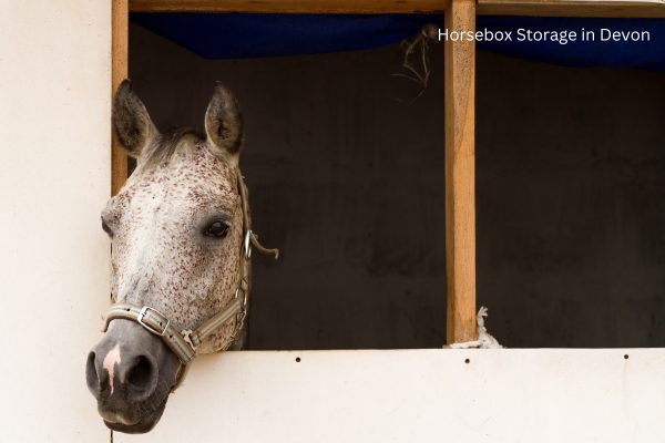 Horsebox Storage in Devon